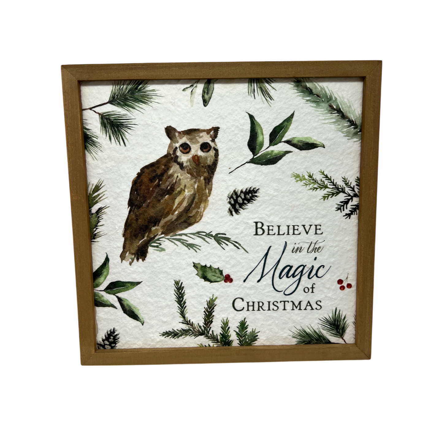 Believe In The Magic of Christmas Print