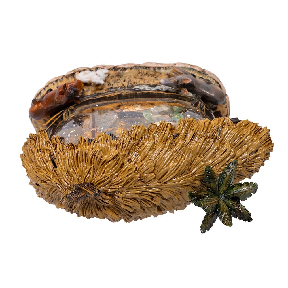 Decorative shell with coral and a small plant on a white background