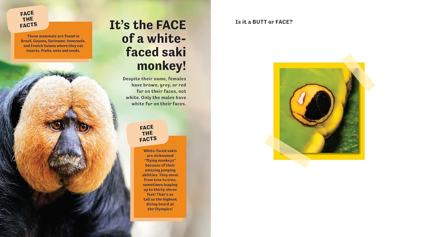 Butt or Face? Volume 2: Revenge of the Butts Hardcover – Picture Book