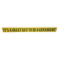 16 inch Shelf Sitter Sign - Great Day To Be A  Catamount Gold /Green