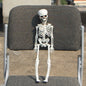 Realistic Skeleton Model