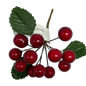 Red Grape Berry Spray 4  Inch