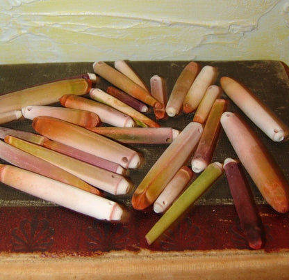 Drilled Sea Urchin Spine