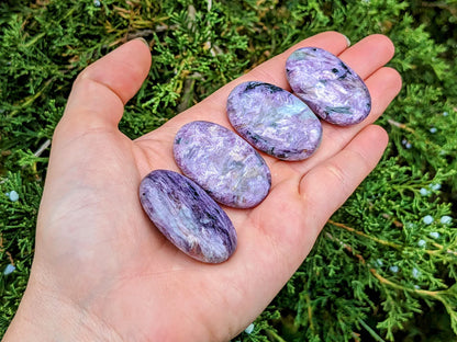 Charoite Palm Stones