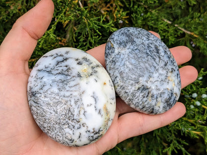 Dendritic Opal Palm Stones
