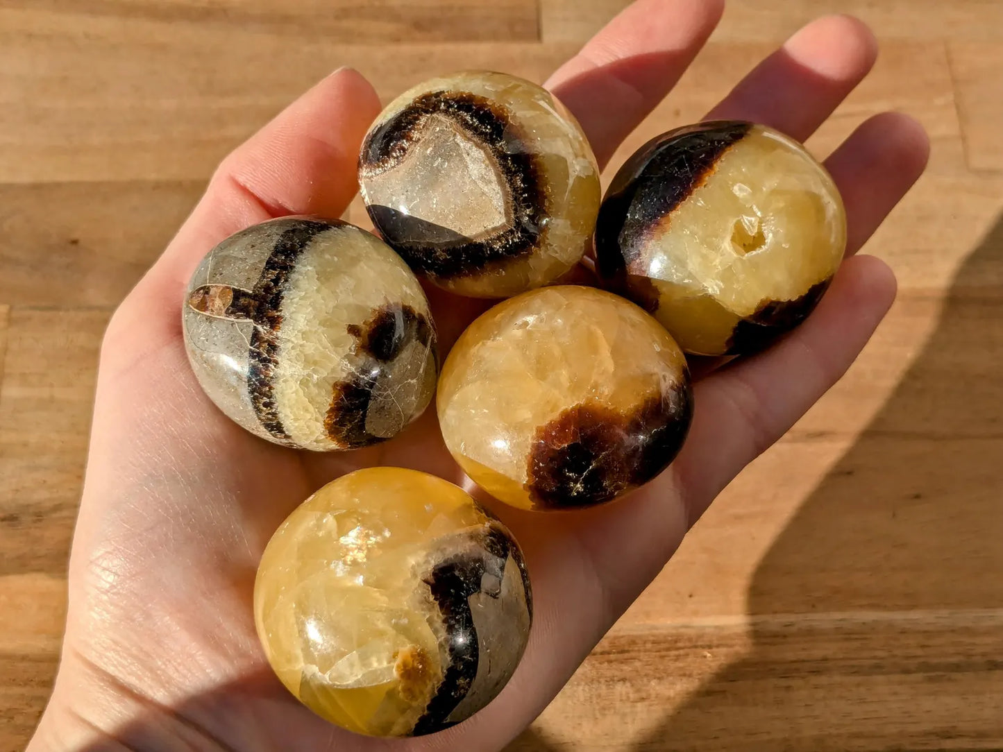 Septarian Pebbles