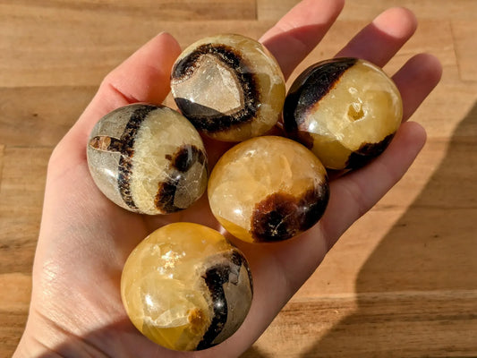 Septarian Pebbles