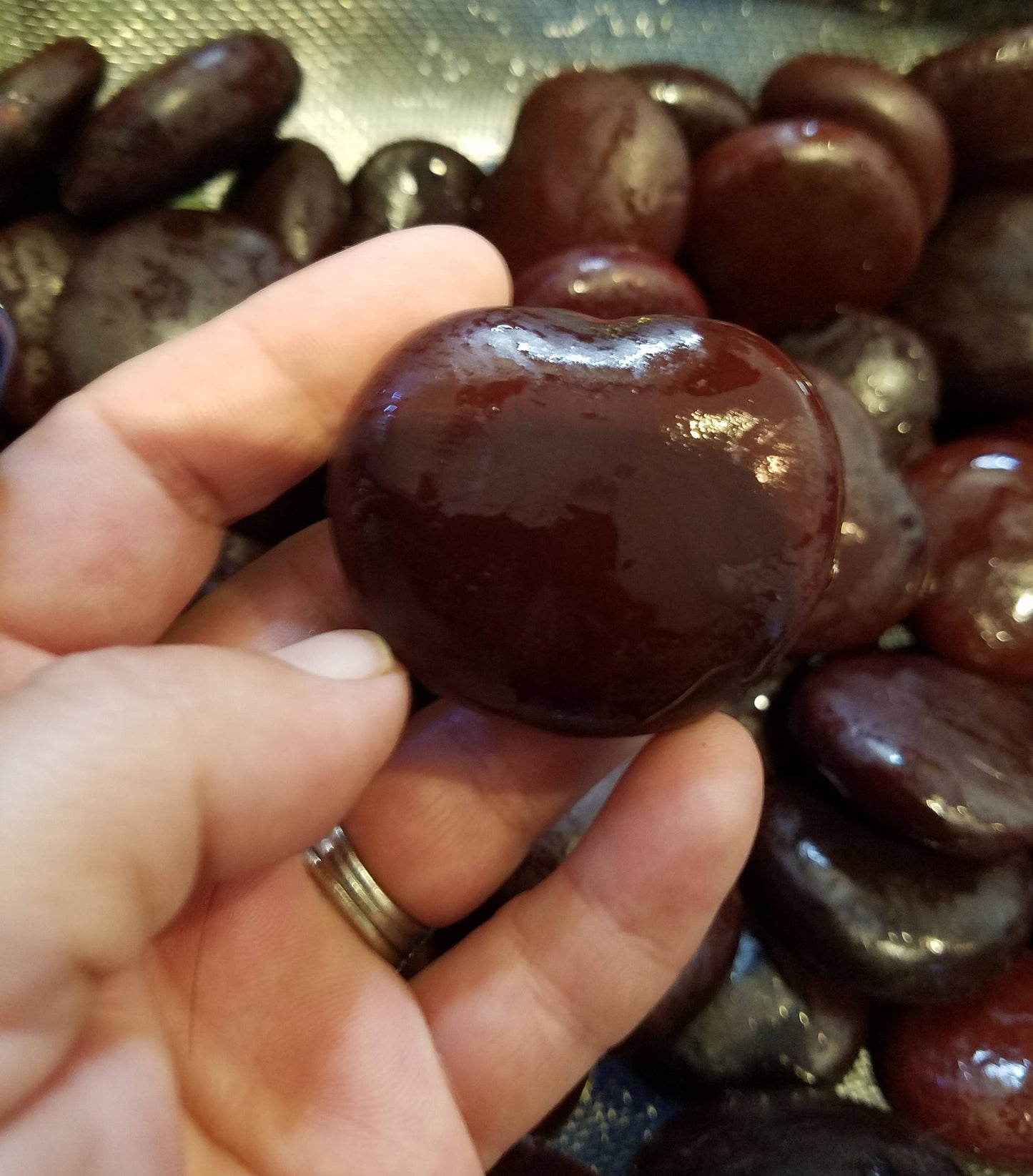 Heart Sea Beans Seaheart Lucky Bean Entada gigas