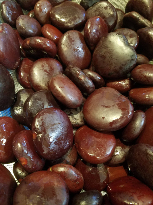 Heart Sea Beans Seaheart Lucky Bean Entada gigas