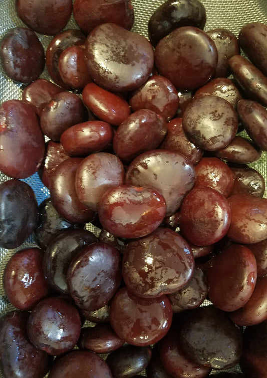 Heart Sea Beans Seaheart Lucky Bean Entada gigas