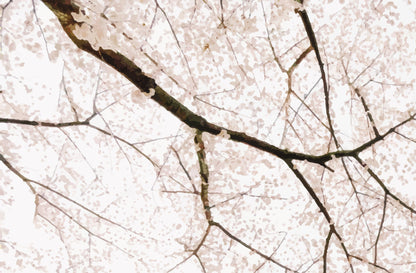 Cherry Blossom Mural | Kitchen + Metal
