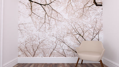 Cherry Blossom Mural | Kitchen + Metal