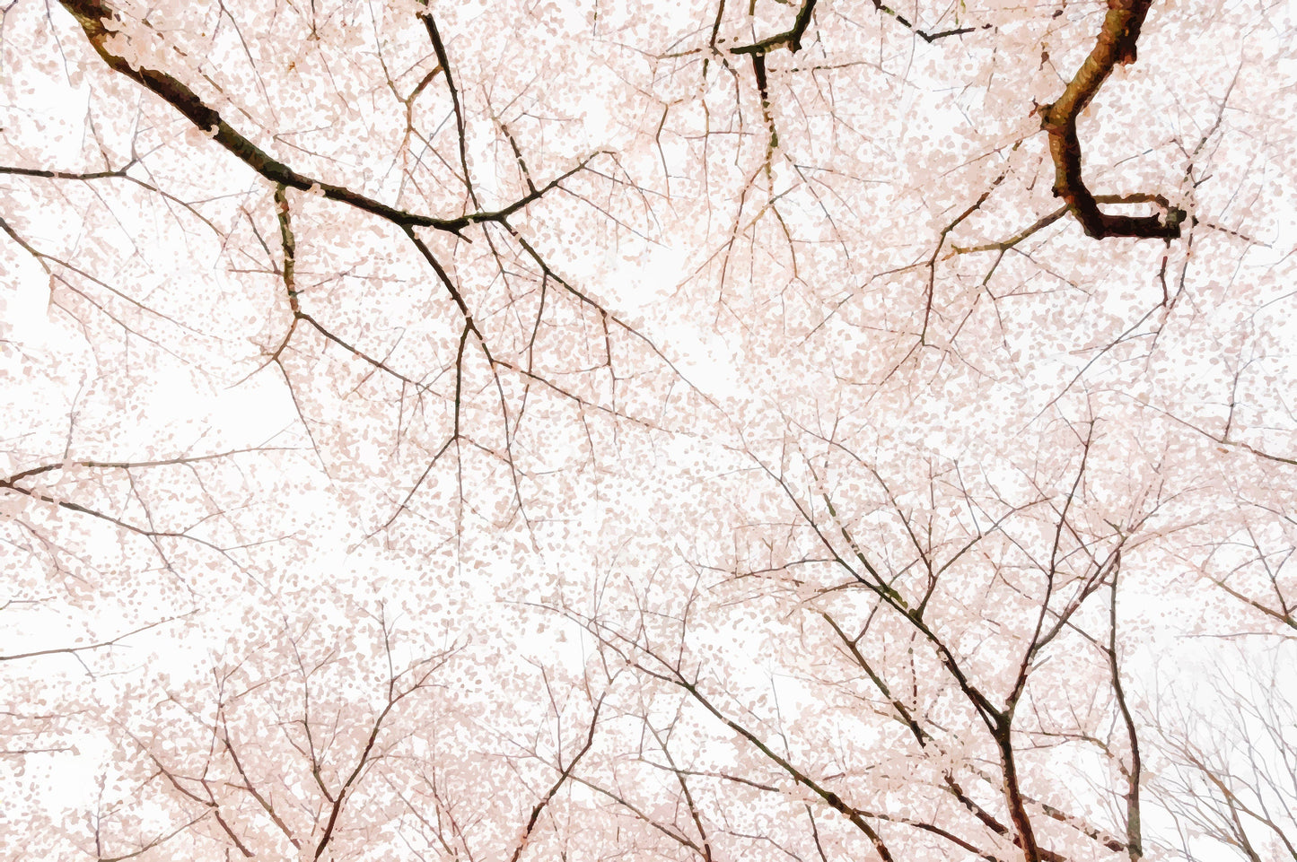 Cherry Blossom Mural | Kitchen + Metal