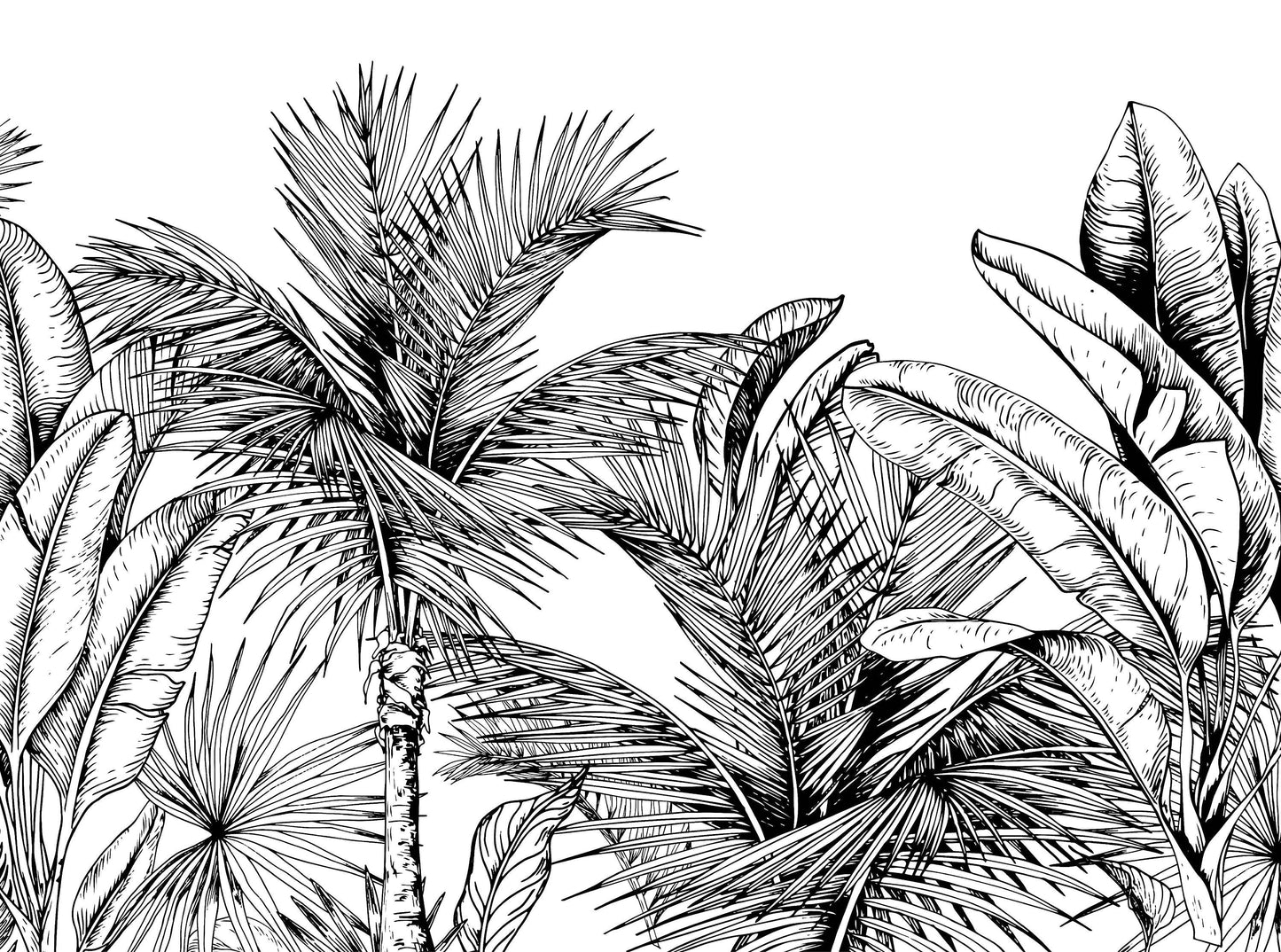 Black and white tropical trees | Kitchen + Metal