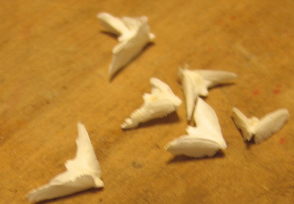 Sand Dollar Doves- Seagull Shape Bird in Flight- Coastal Arts & Crafts DIY- Lockets Frames