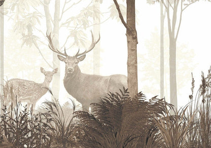 Enchanted Forest | Kitchen + Metal