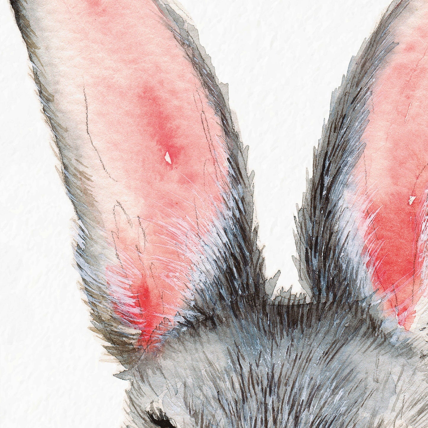 Giant Rabbit mural