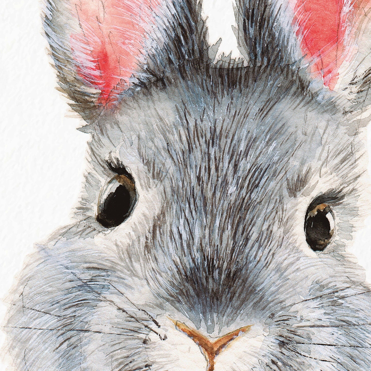 Giant Rabbit mural