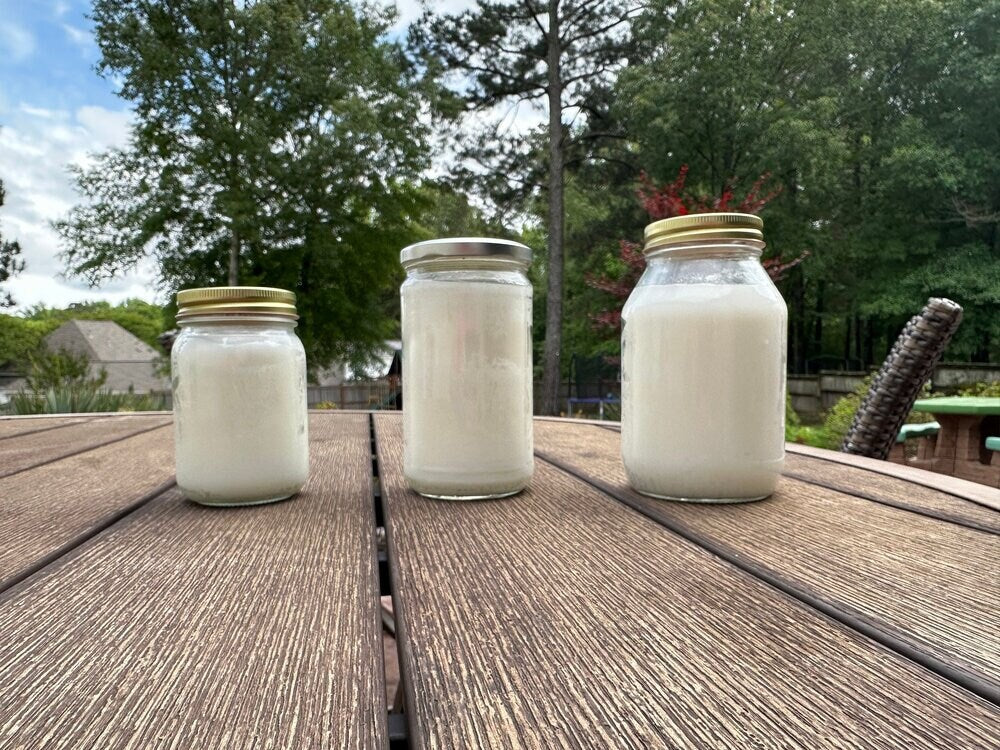 Unscented Beef Tallow - 2 Pounds | 100% Natural & Pure