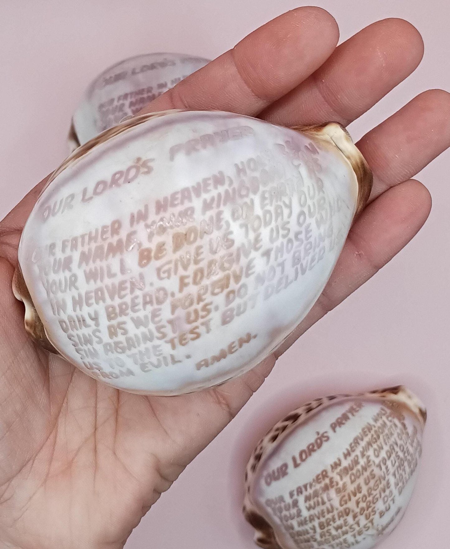 The Lord's Prayer Cowrie Shell