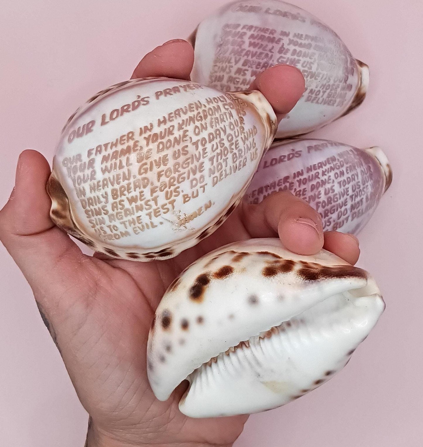 The Lord's Prayer Cowrie Shell