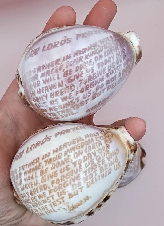 The Lord's Prayer Cowrie Shell