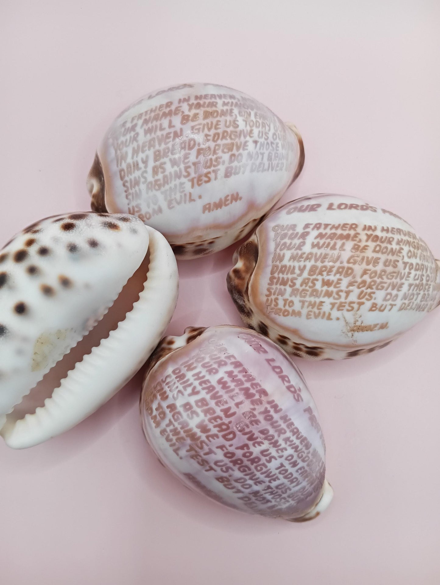 The Lord's Prayer Cowrie Shell