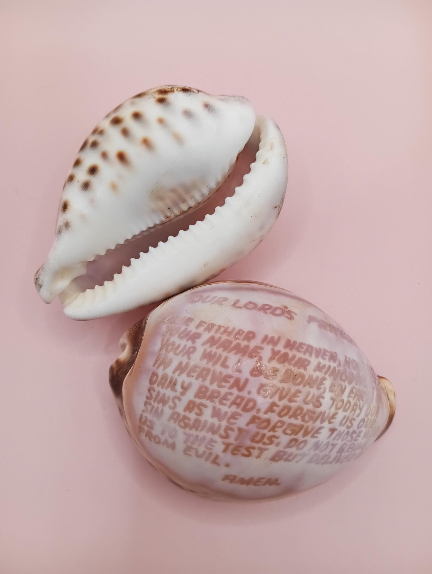 The Lord's Prayer Cowrie Shell