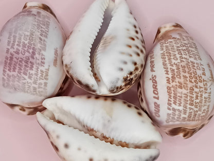 The Lord's Prayer Cowrie Shell