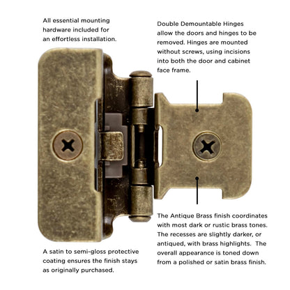 Double Demountable Hinge