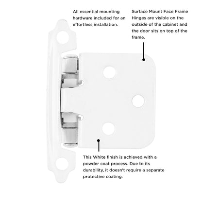 Surface Self-Closing Hinge