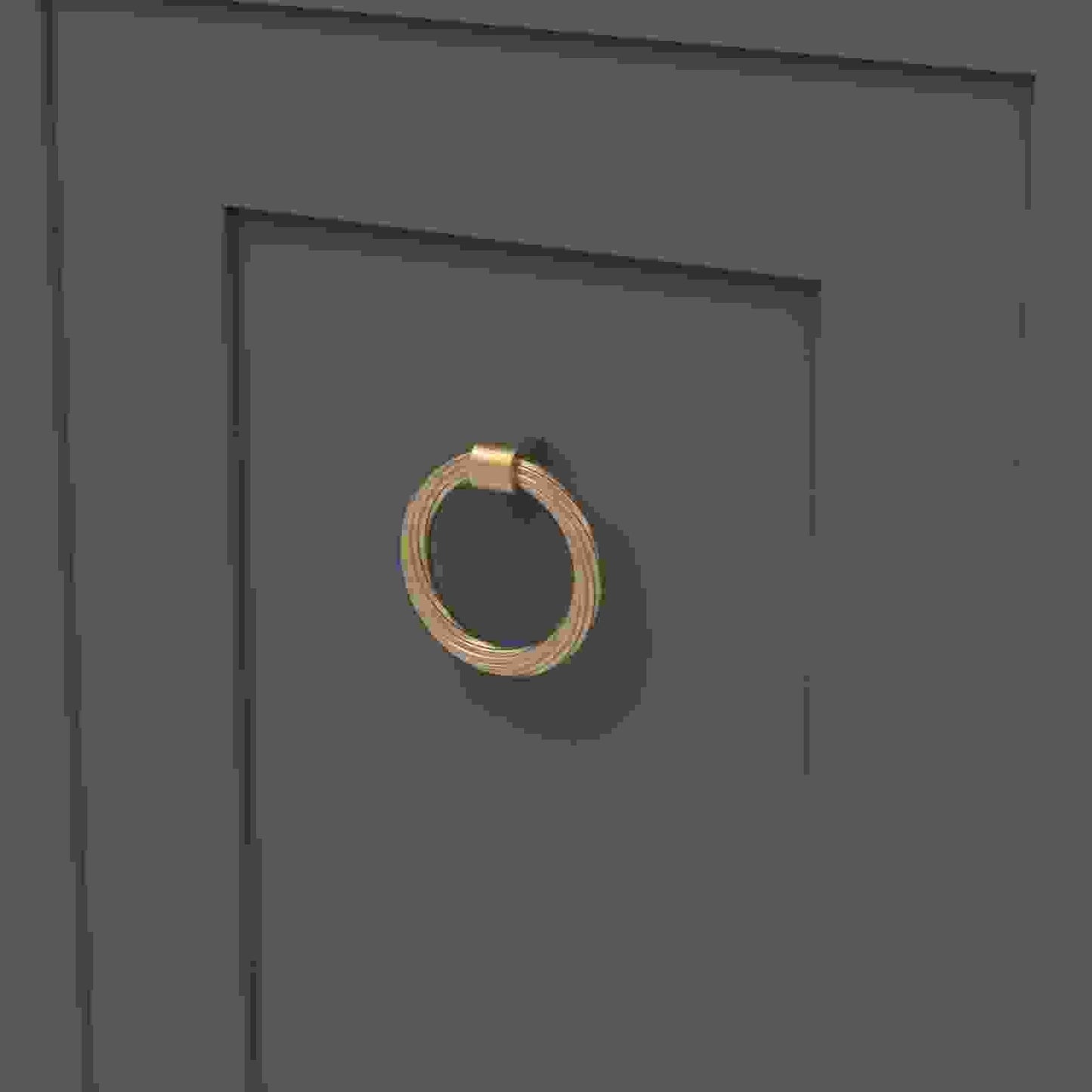 2-7/8 Inch x 2-3/4 Inch Bijou Sybil Ring Pull