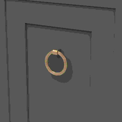 2-7/8 Inch x 2-3/4 Inch Bijou Sybil Ring Pull