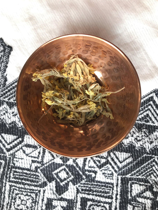 Cowslip Flowers (Primula veris) - Witching Flowers