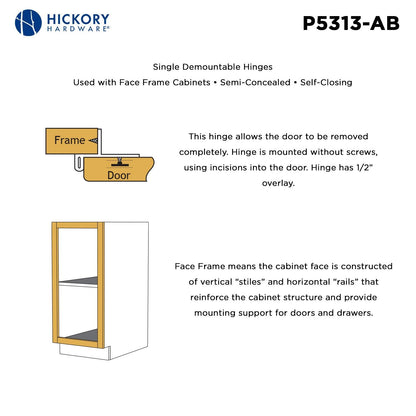 Single Demountable Hinge