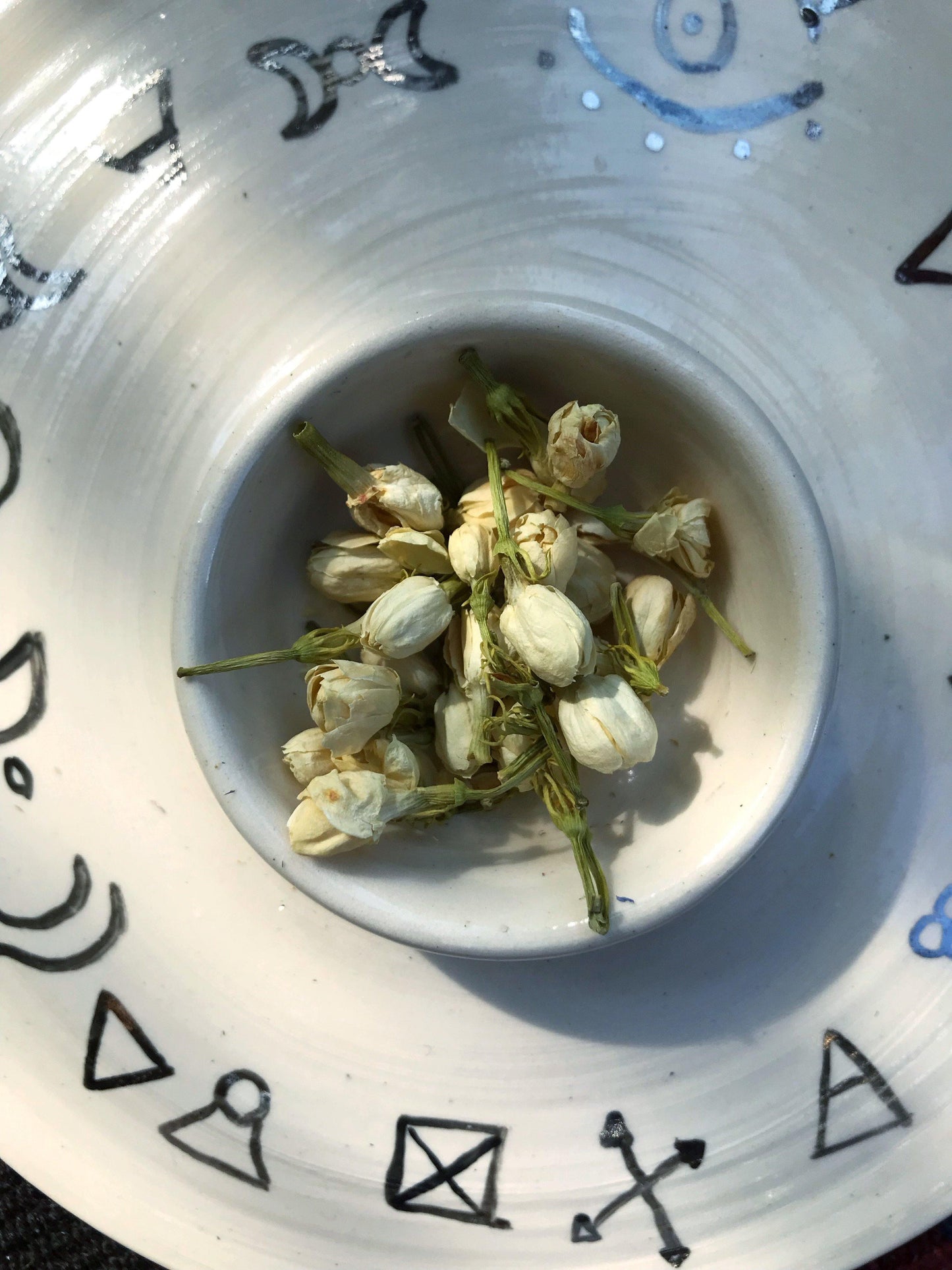 Jasmine (Jasminum odoratissimum) - Witching Flowers