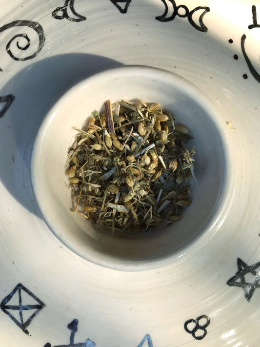 Yarrow (Achillea millefolium) - Witching Flowers
