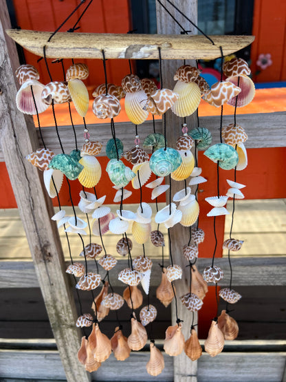 Bamboo Shell Windchime
