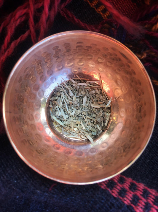 Wormwood (Artemisia absinthium) - Witching Herbs