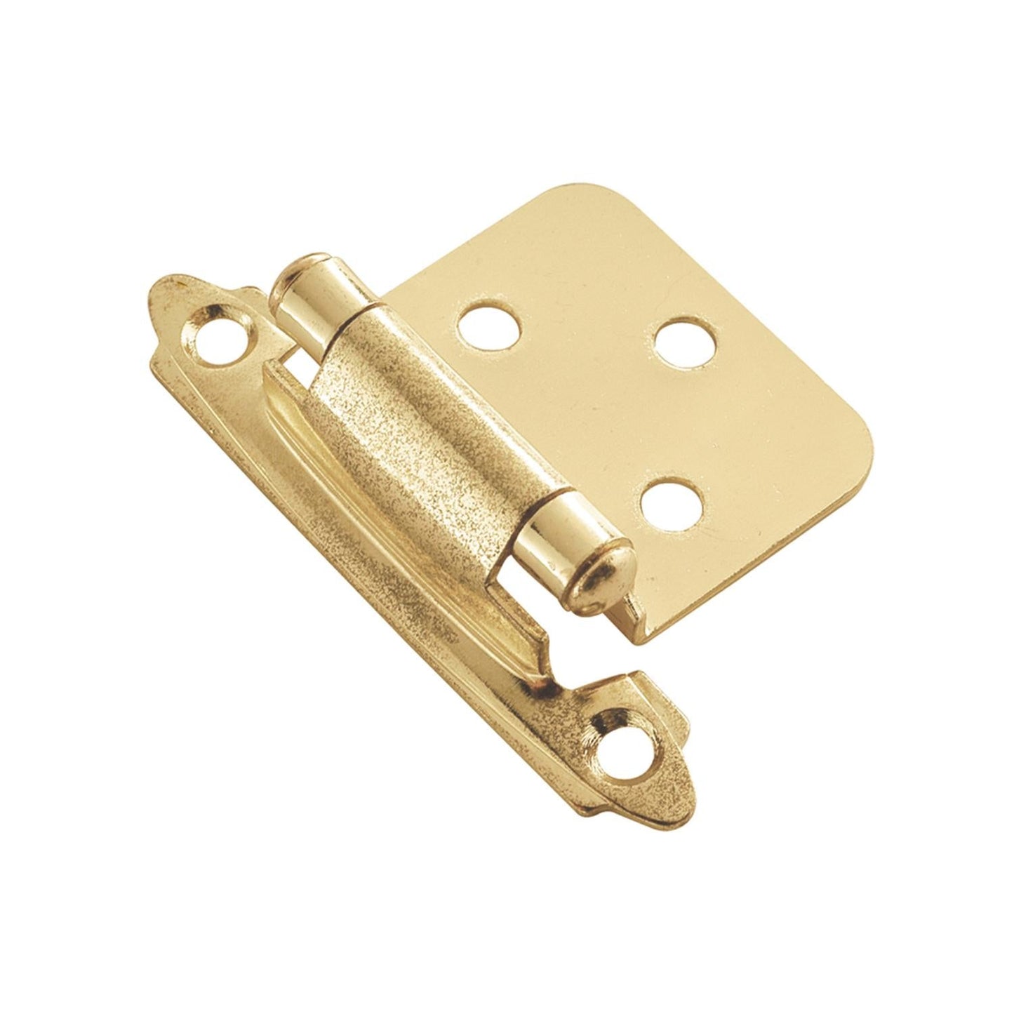 Surface Self-Closing Hinge