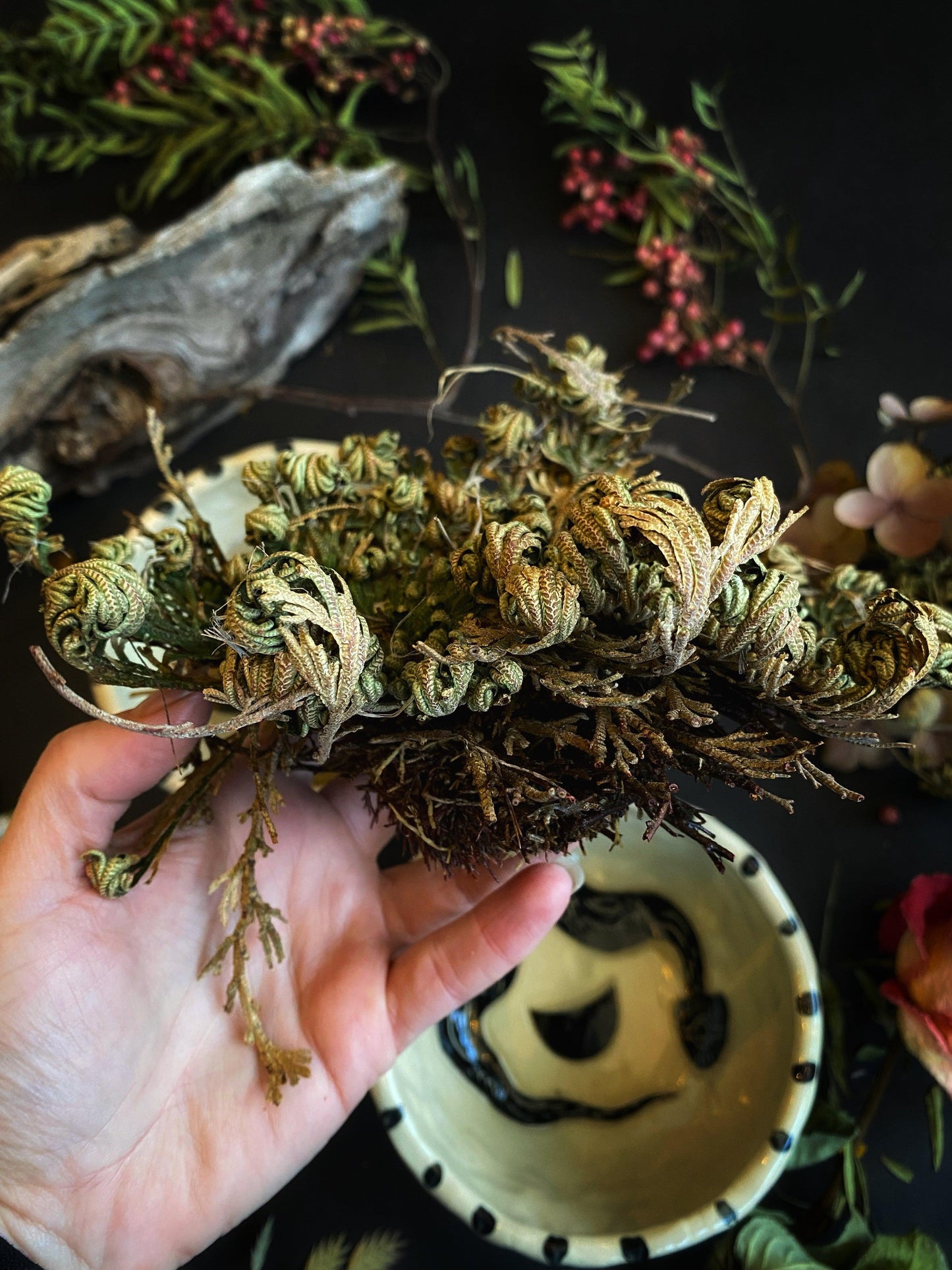 Jericho Flower / Resurrection Plant - Ritual Blessing