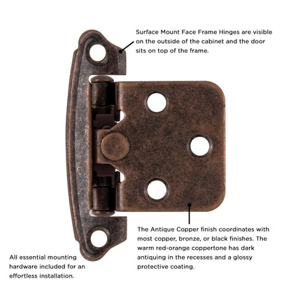 Surface Self-Closing Hinge