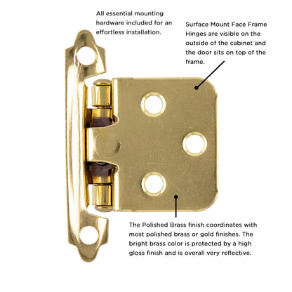 Surface Self-Closing Hinge