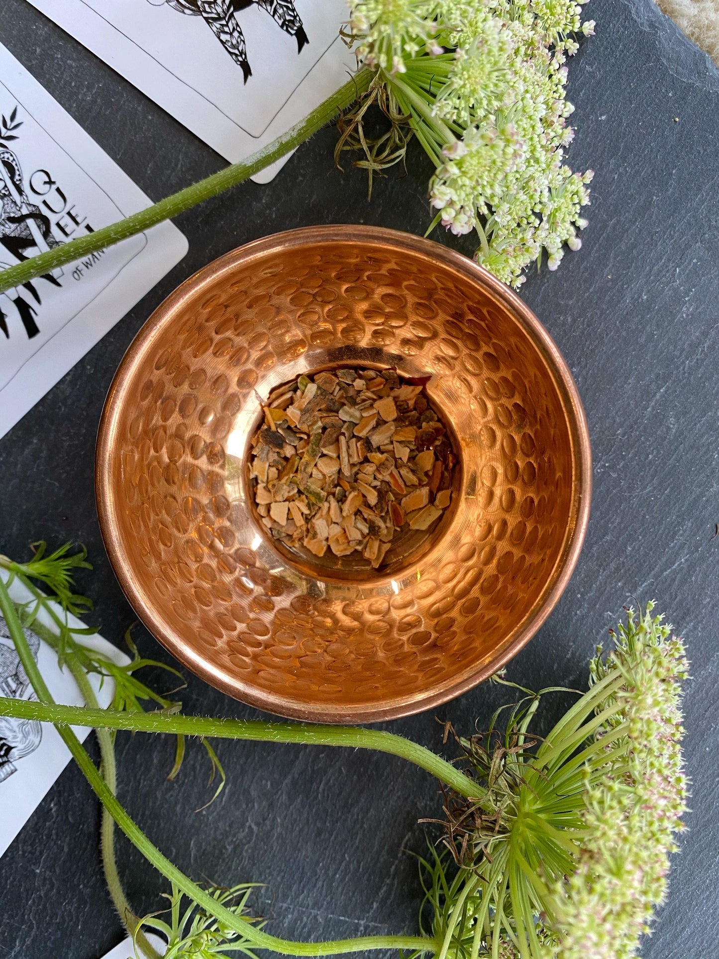 Cramp Bark (Viburnum opulus) - Witching Herbs