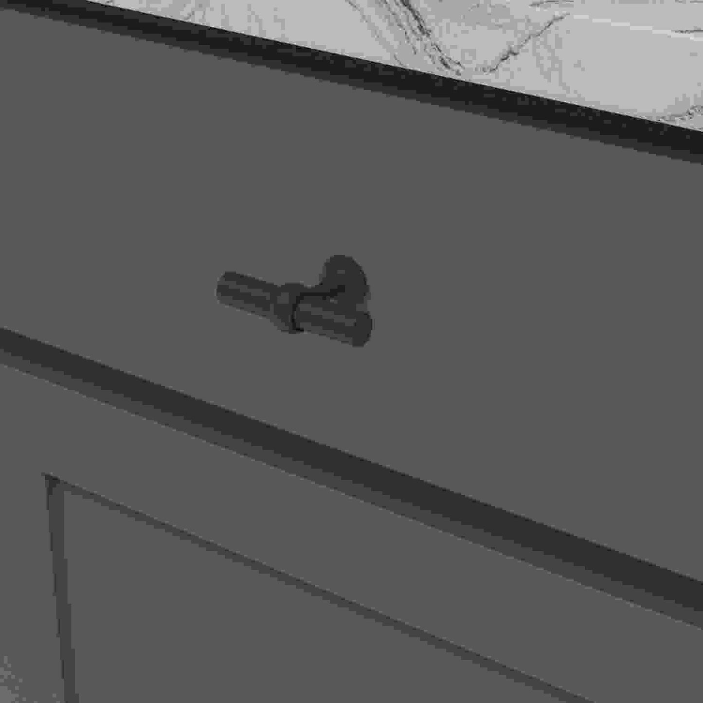 2-1/2 Inch X 13/16 Inch Ostia T-Knob