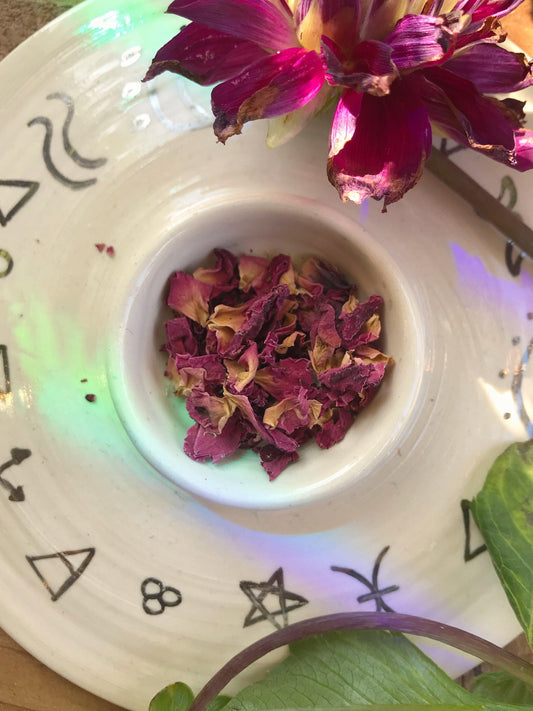 Rose Petals (Rosa centifolia) - Witching Flowers