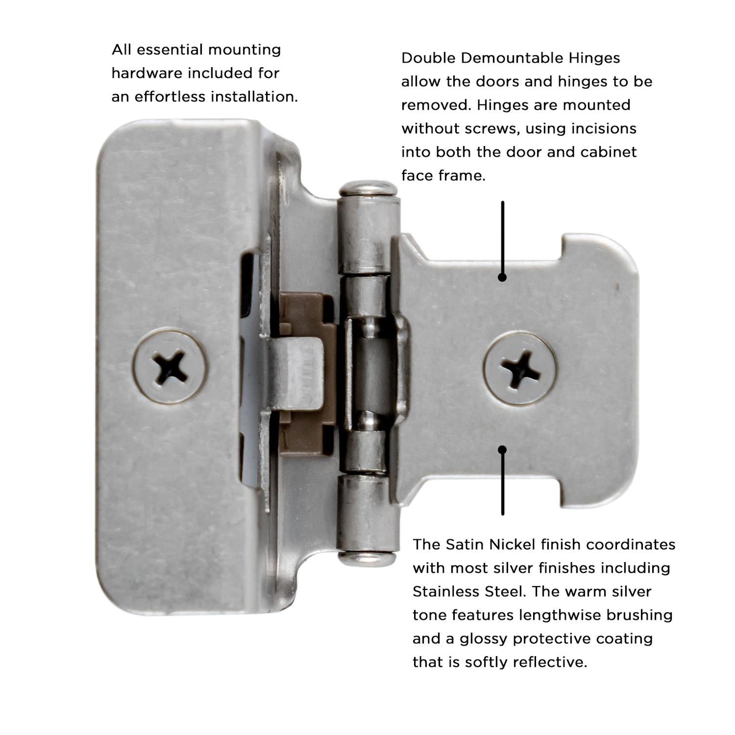 Double Demountable Hinge