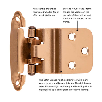 Surface Self-Closing Hinge