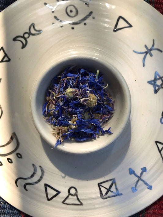 Cornflowers (Centaurea cyanus) - Witching Flowers