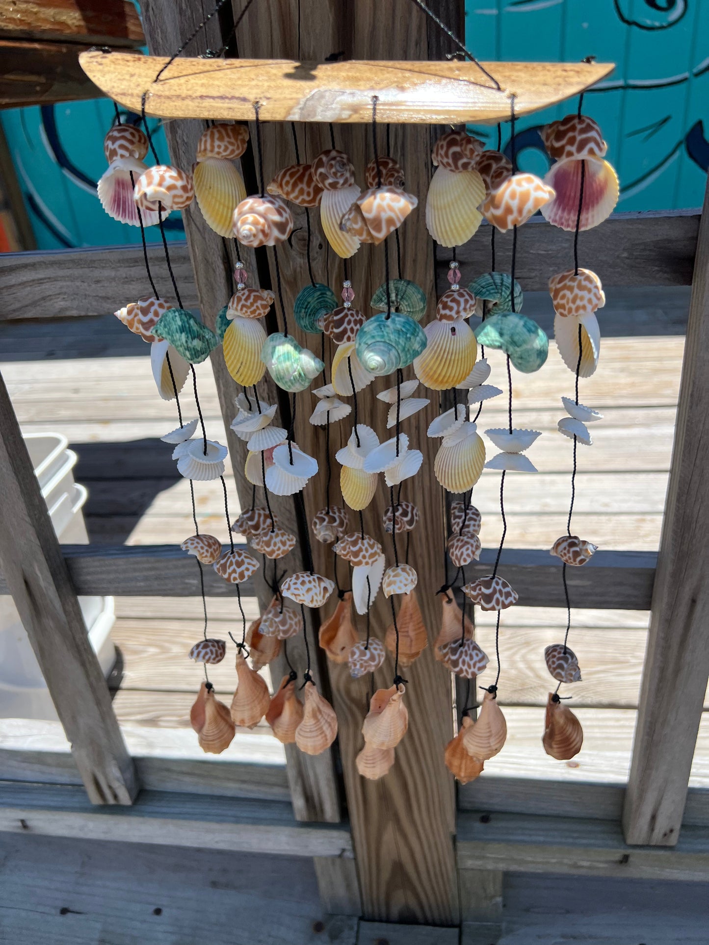 Bamboo Shell Windchime